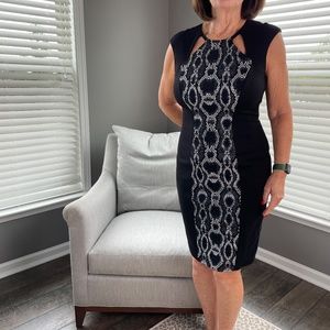 Cache Black Sheath Dress Snakeskin Print Size 8